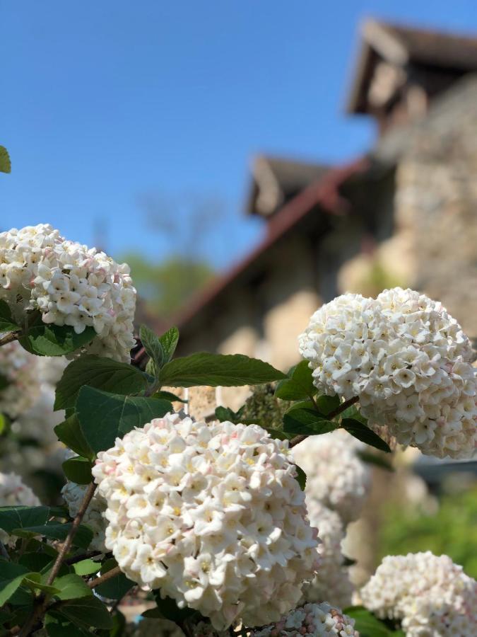 Le Clos Saint Lubin Nainville-les-Roches Exterior foto